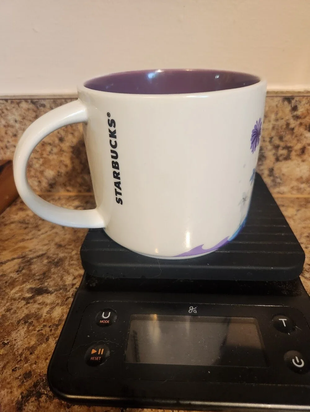 Starbucks Epcot You Are Here Mug